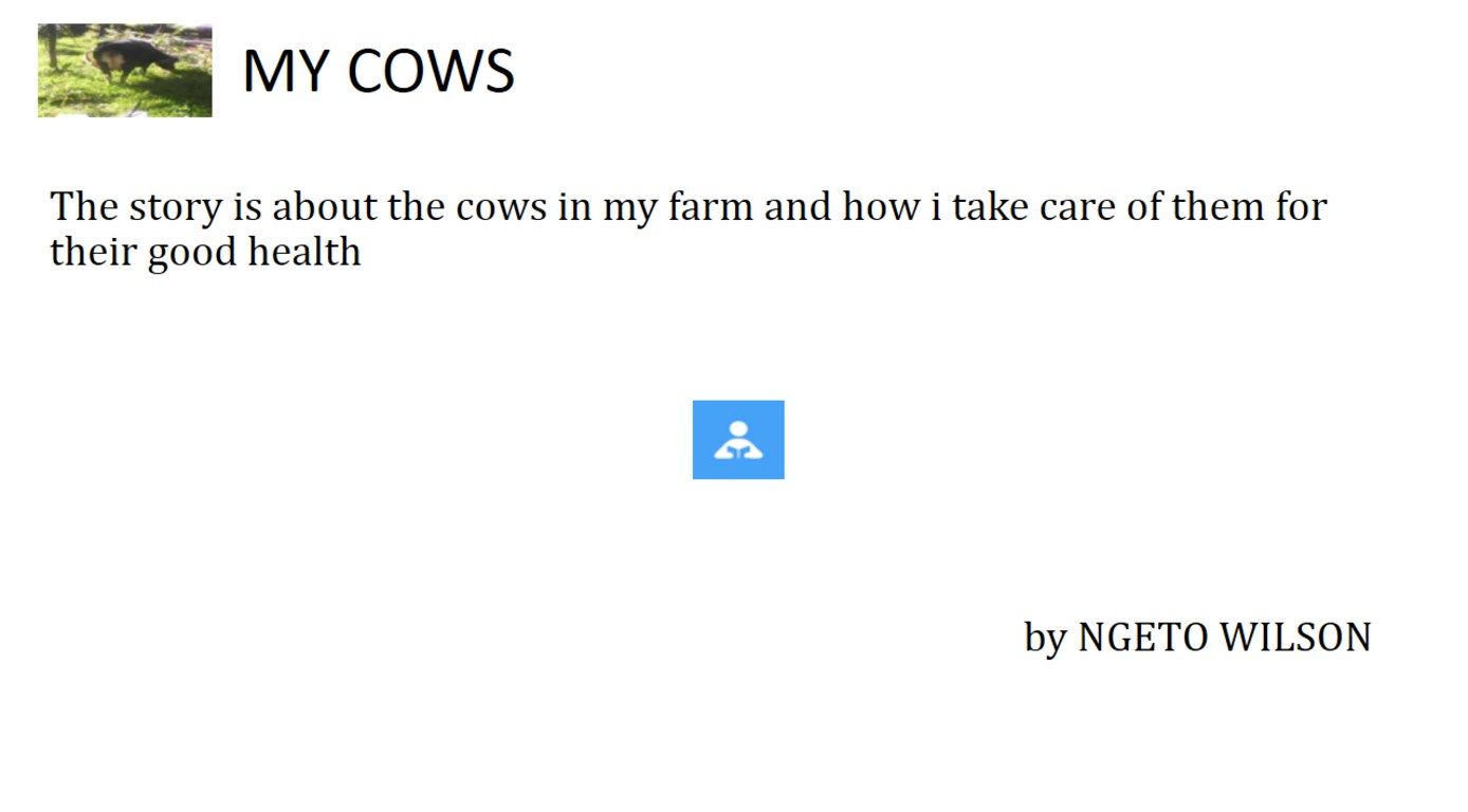 MY COWS