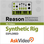 Synthetic Rig Explored for Reason