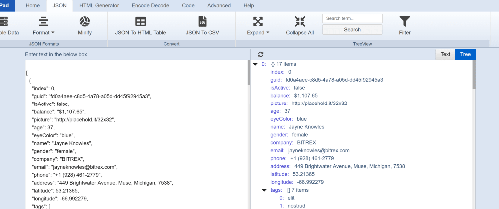 JSON Viewer and Formatter +