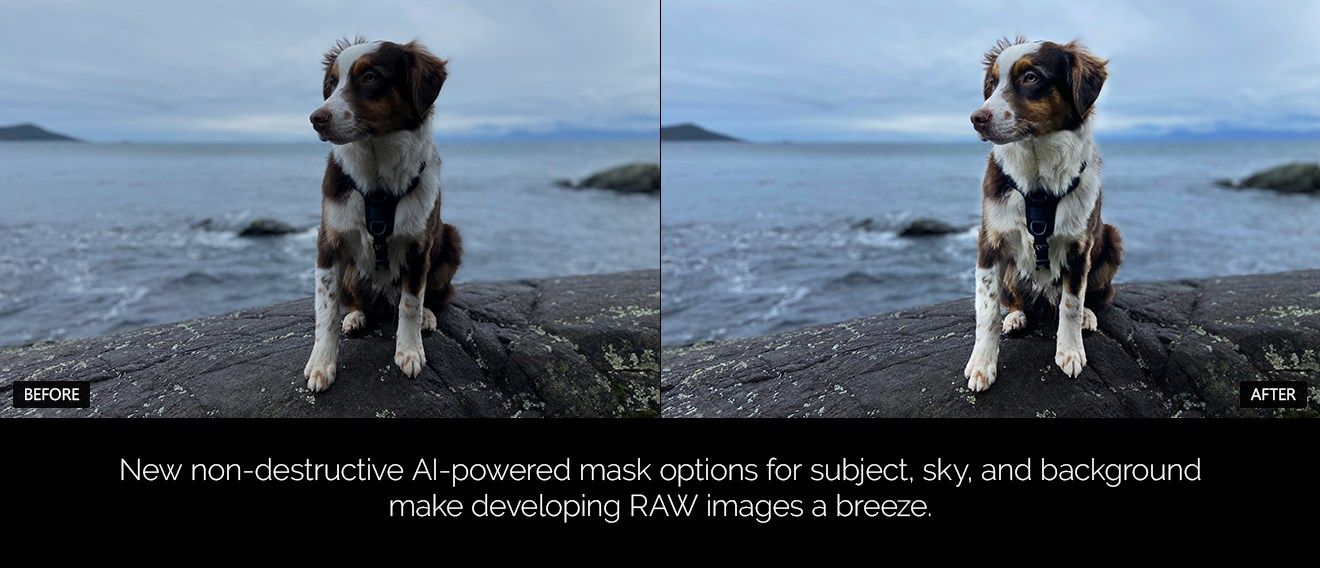 AI Develop Masks