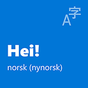 Norsk (nynorsk) lokal grensesnittpakke