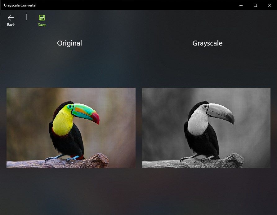 Image to Grayscale Converter - Pro
