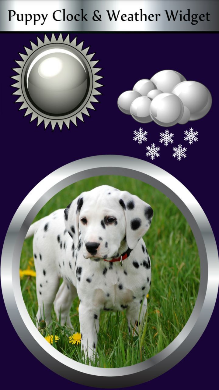 Puppy Clock & Weather Widget