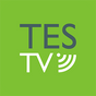 TES TV