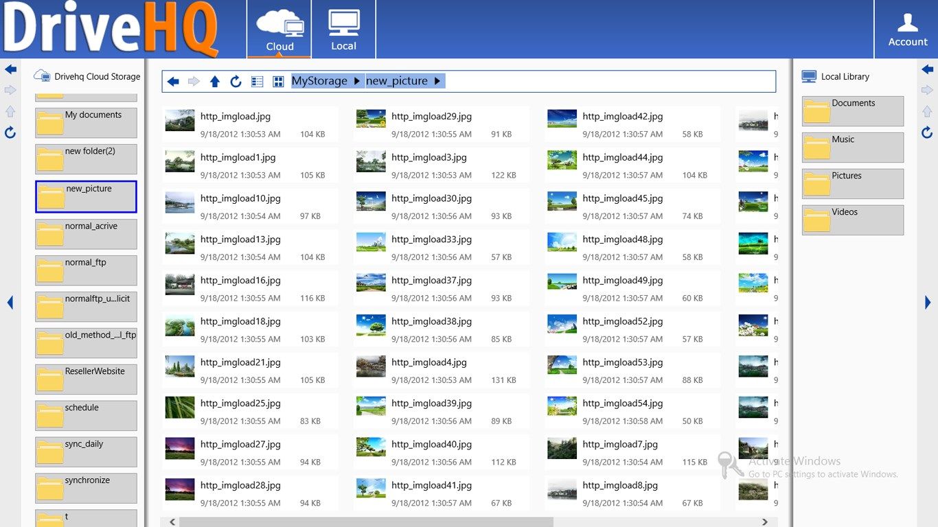 DriveHQ FileManager displaying a remote folder in Detail View mode. The local folders are on the right-hand side.