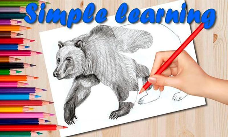 How to draw animals book. Guide to Drawing Animals: How to Draw Cats, Dogs, and Other Favorite Pets