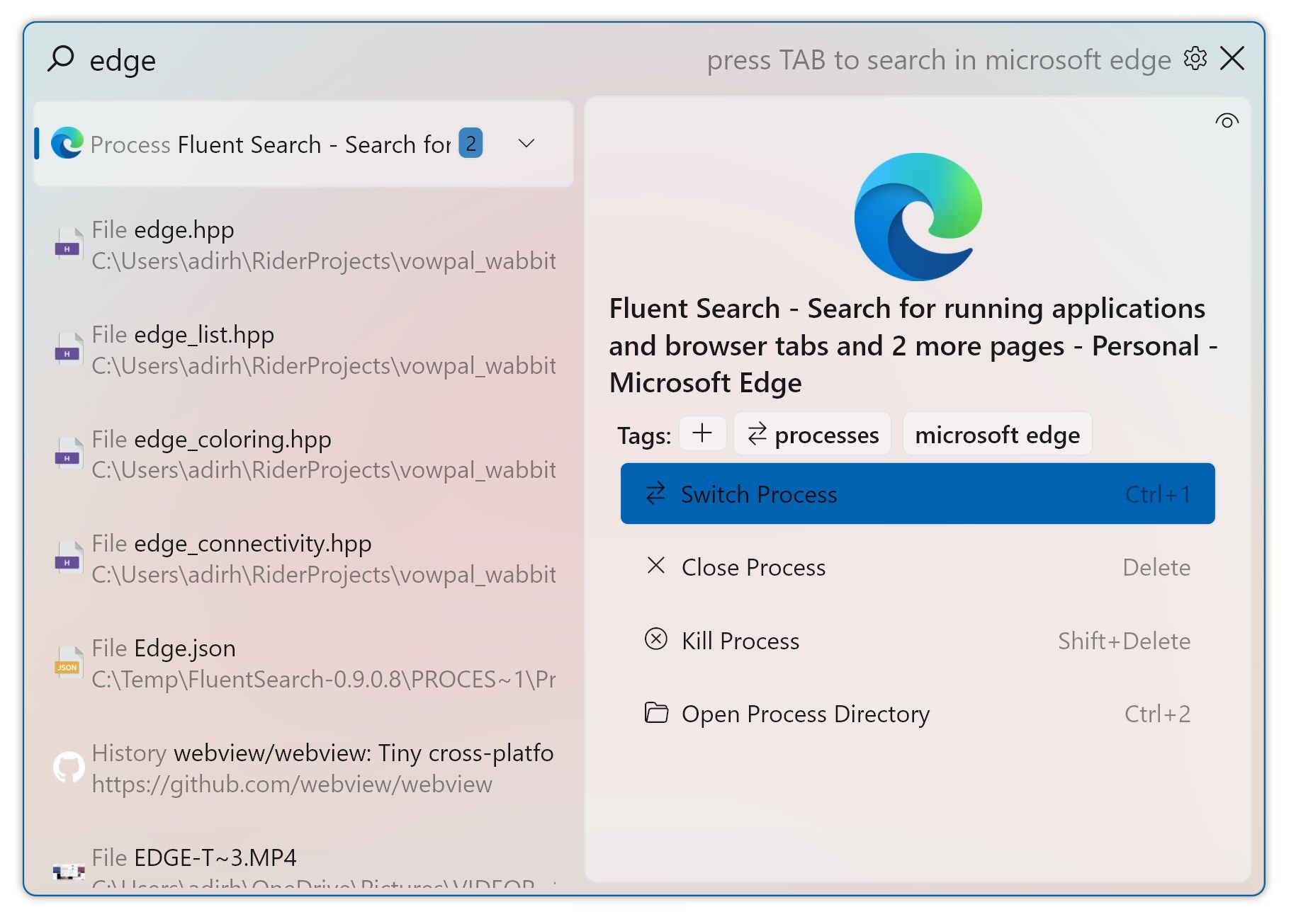 Fluent Search main window - shows open applications