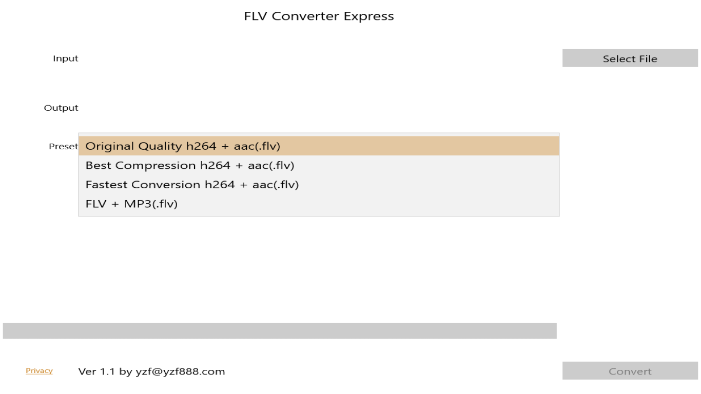 FLV Converter Express