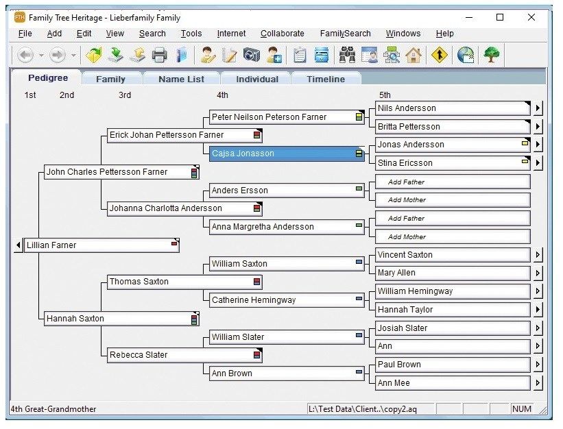 Assign tags, shown in red, to Identify unique characteristics about your ancestors.