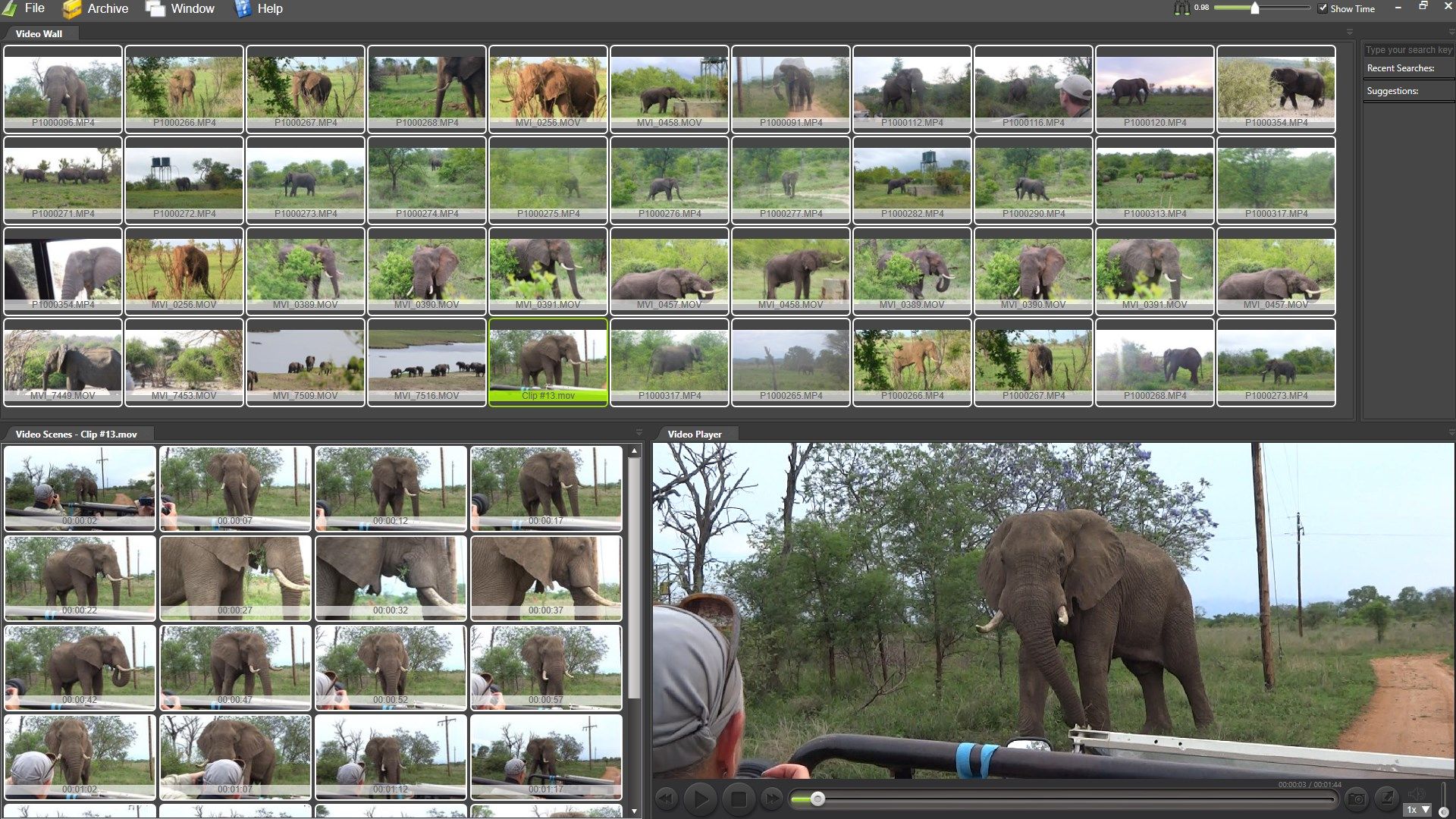 Video Wall filtered on Elephant keyworded videos