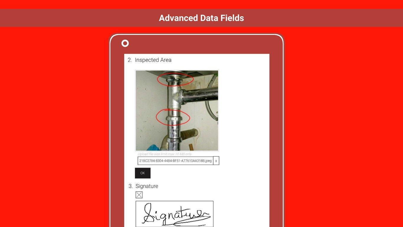 Advanced Data Fields