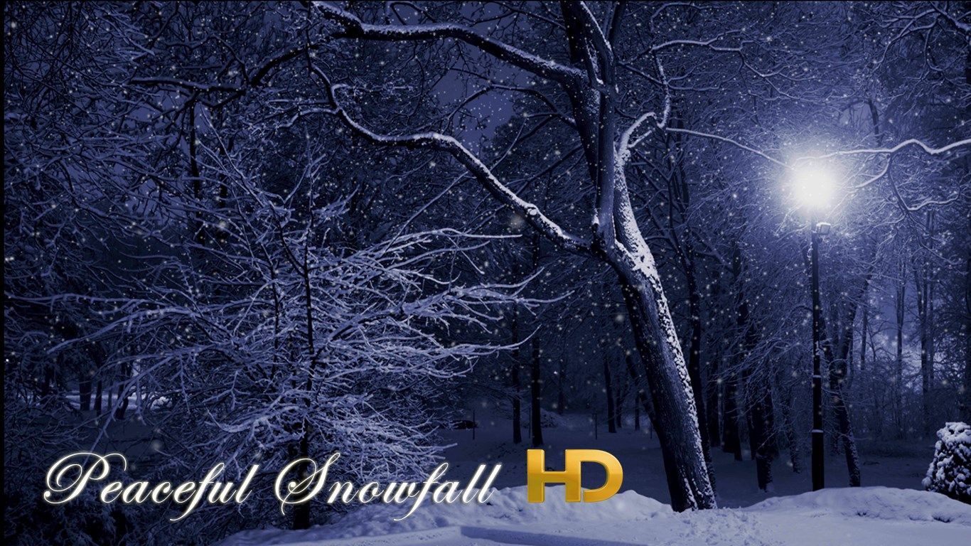 Peaceful Snowfall In HD