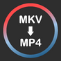MKV to MP4 Converter Fast