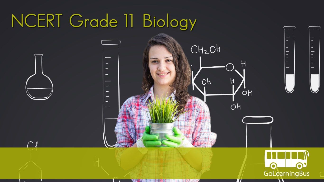 NCERT Grade 11 Biology by GoLearningBus