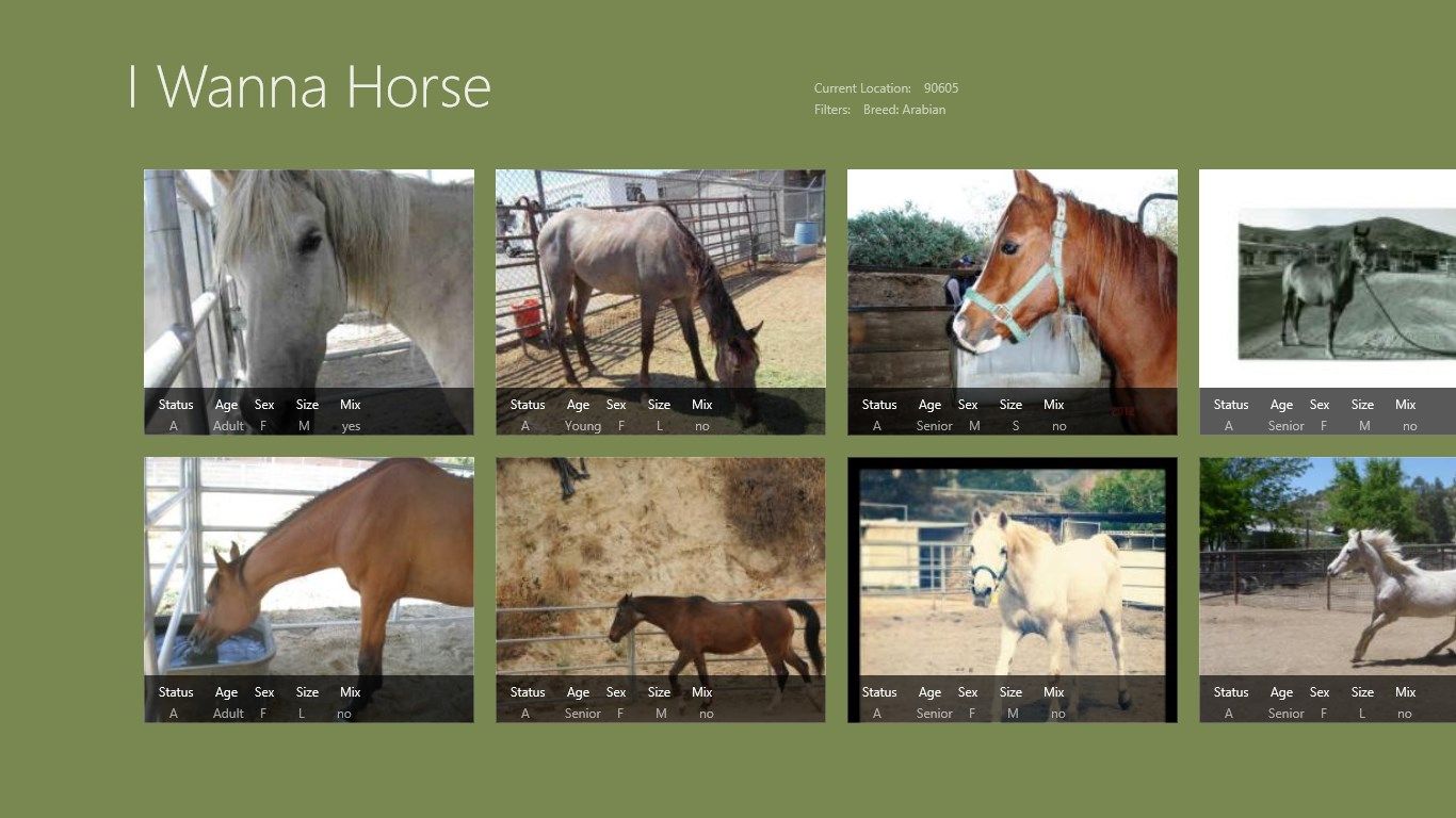 Secondary main page. Shows a second picture of the horse if available and more info below the picture.