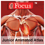 Anatomy Atlas-Junior