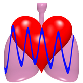 Cardio Respiratory Monitor Free