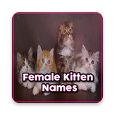 Female Kitten Names