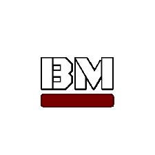 BrickMaster Masonry
