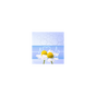 NaturalVit