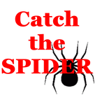 Catch the Spider