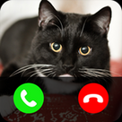 Fake call from cat