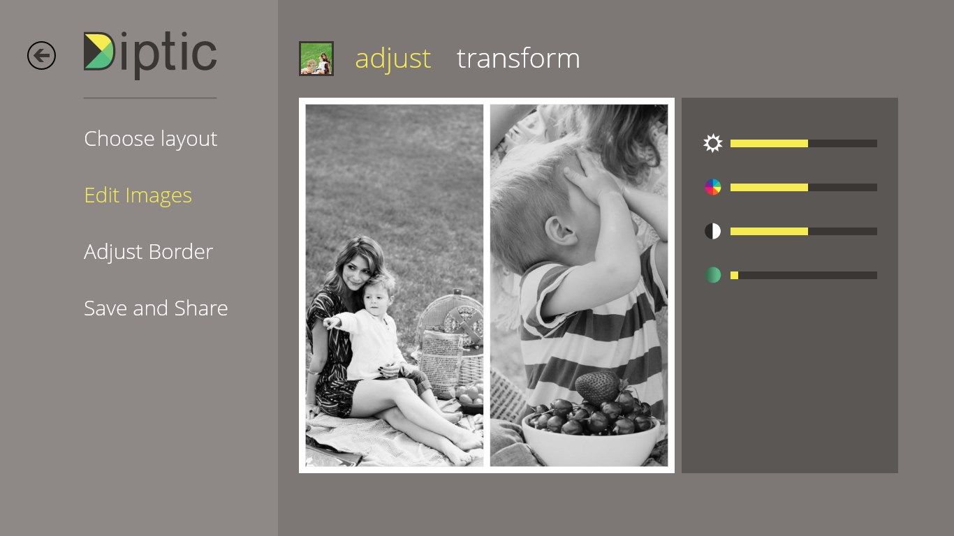 Adjust the image's brightness, contrast, hue and color saturation.