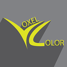 Voxel Color
