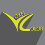 Voxel Color