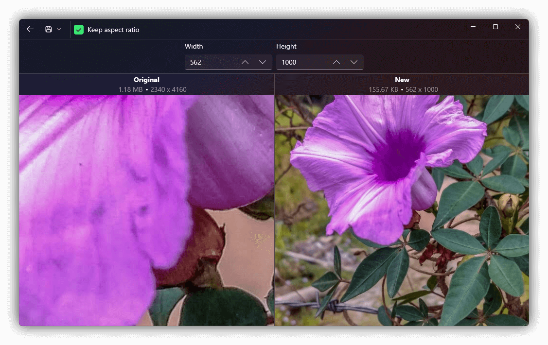 You can resize images and see the result in real time