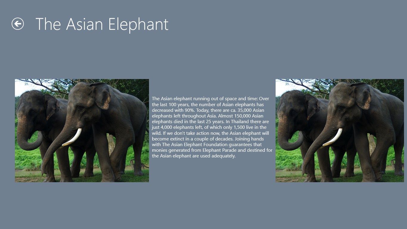 The screen that is displayed when the Asian Elephant button is selected from the main page.