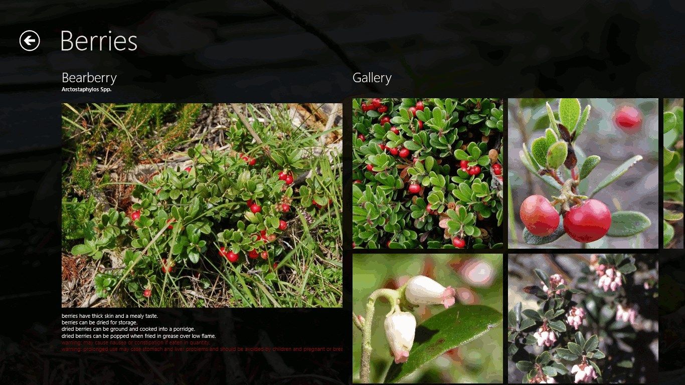 Bearberry (Berries info screen)