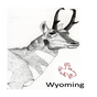 Wyoming_Antelope_Draw