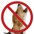 Revolutionize Your Dog Stop Barking with These Easy-peasy Guide & Tips!