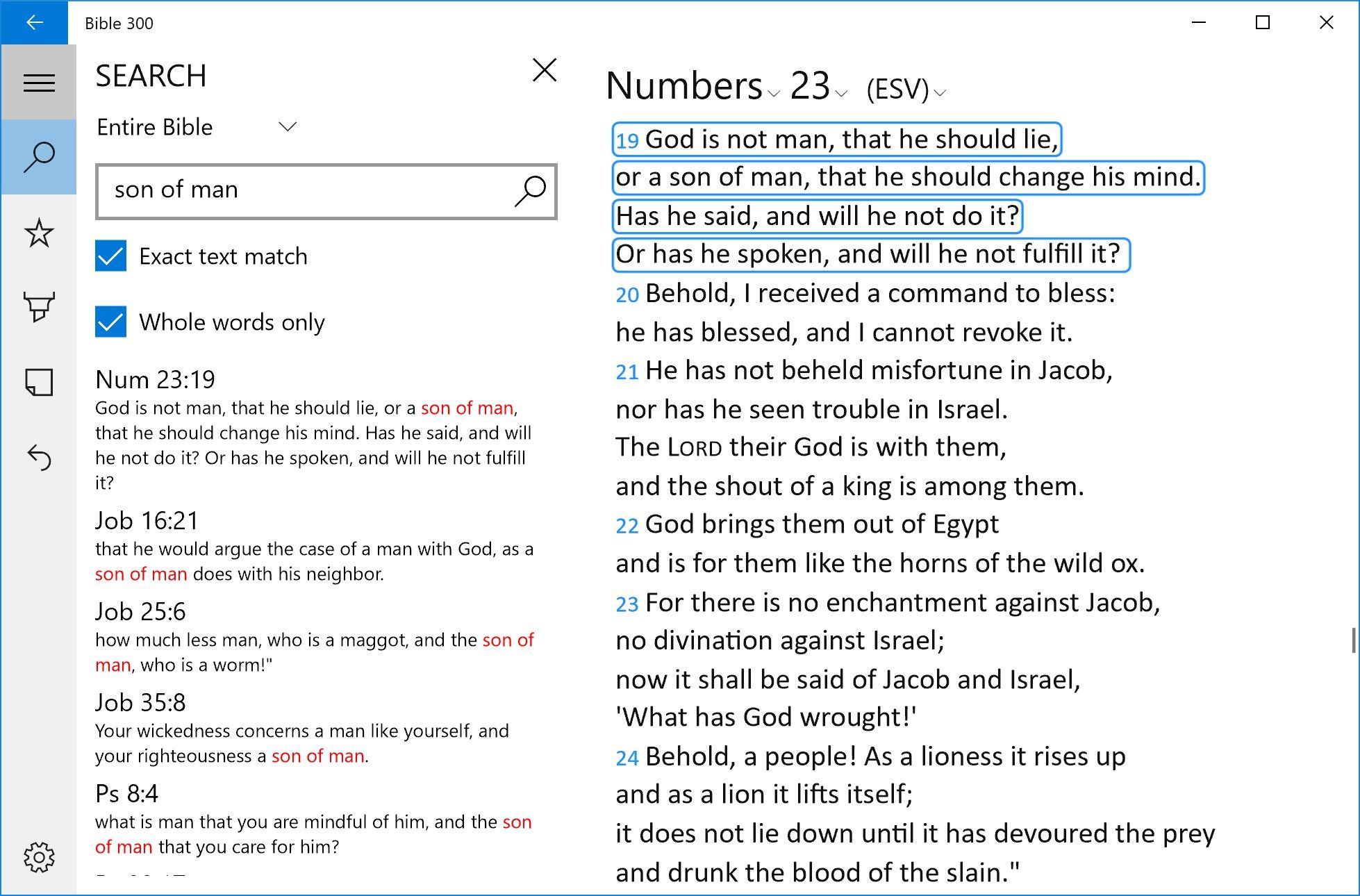 Bible 300