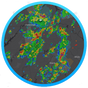 Simply Weather Radar