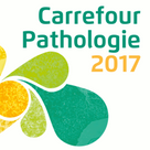 Carrefour Pathologie 2017