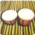Bongo Drums HD (Ad-supported)
