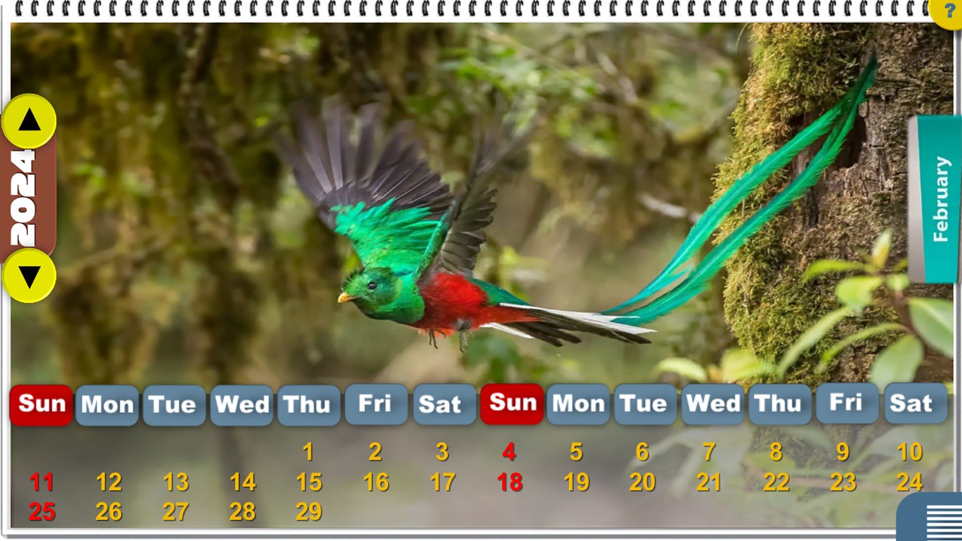 Amazing Birds Calendar [HD+]
