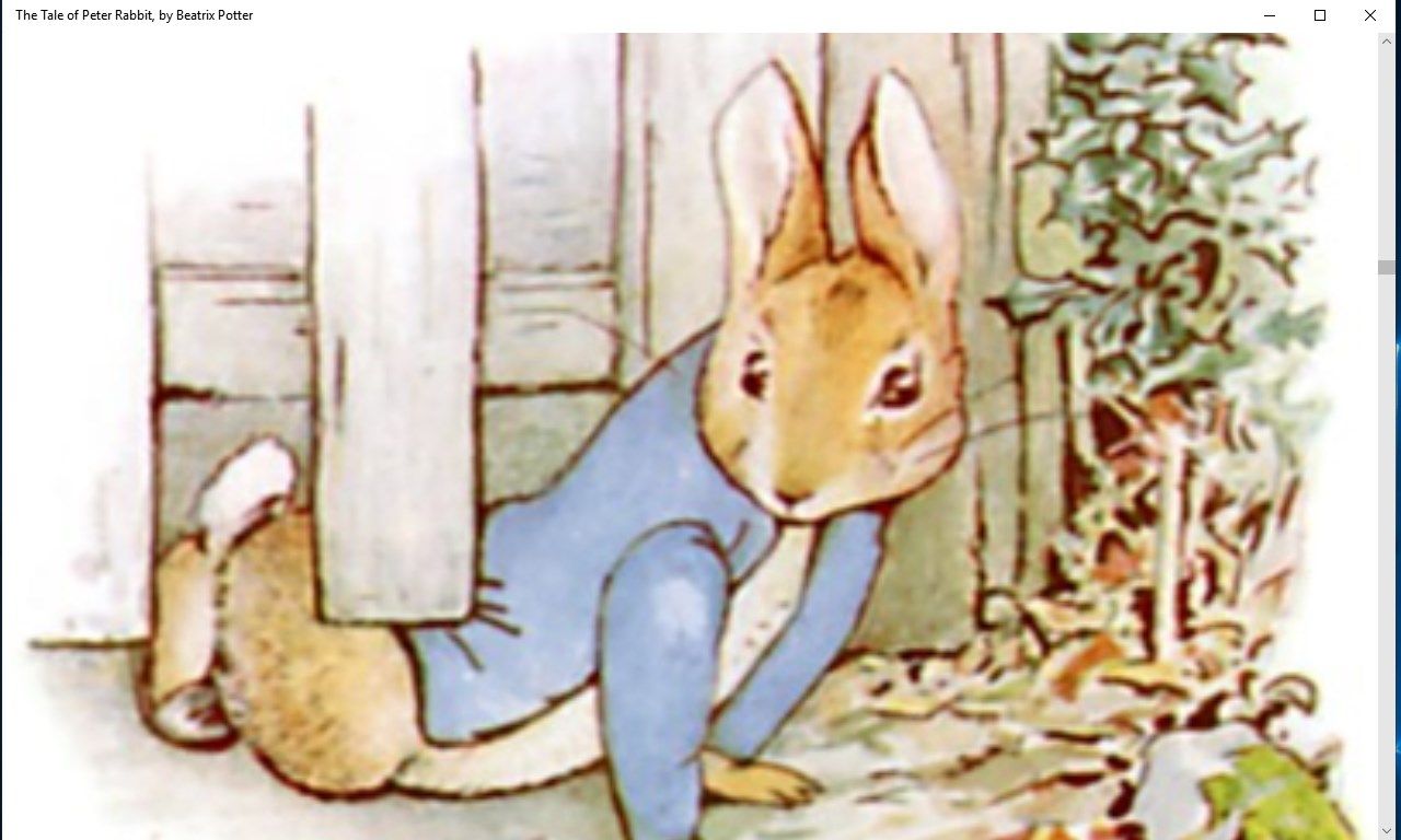 The Tale of Peter Rabbit, by Beatrix Potter