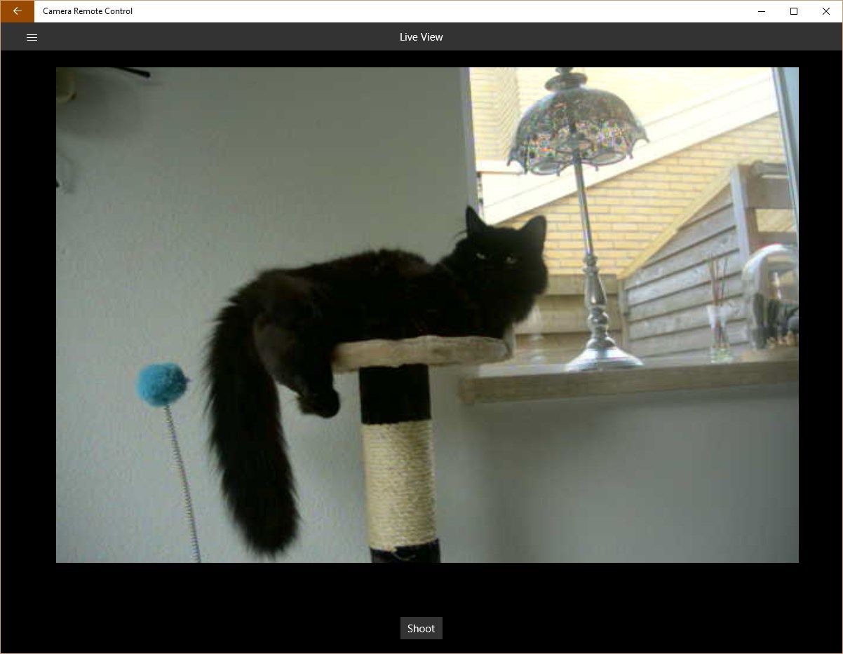 Liveview with 'Shoot' option