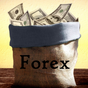 Forex trading course - currency exchange investor