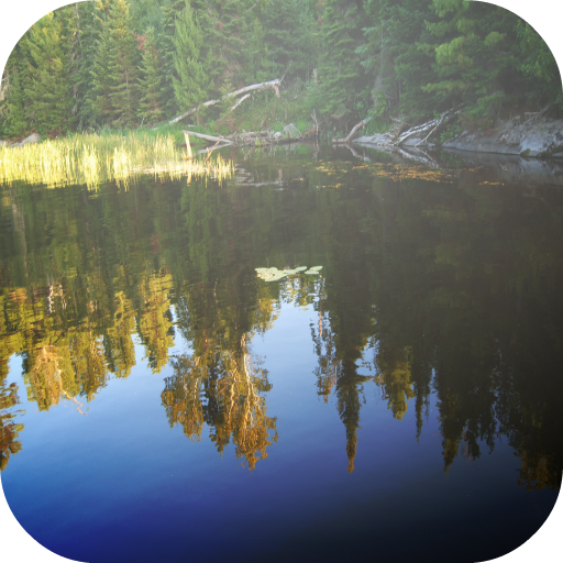 Lake Kabetogama Fishing Report