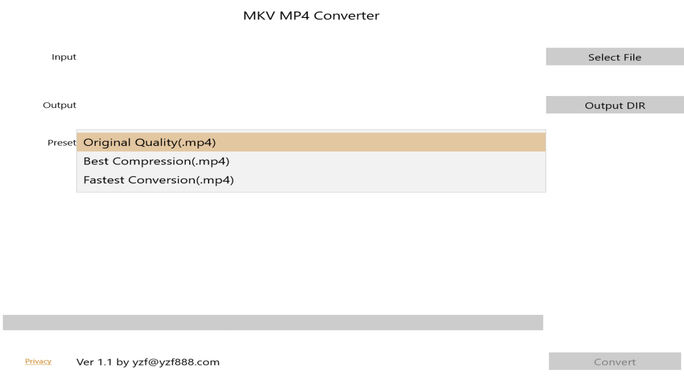 MKV MP4 Converter
