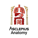 Asclepius Anatomy Online
