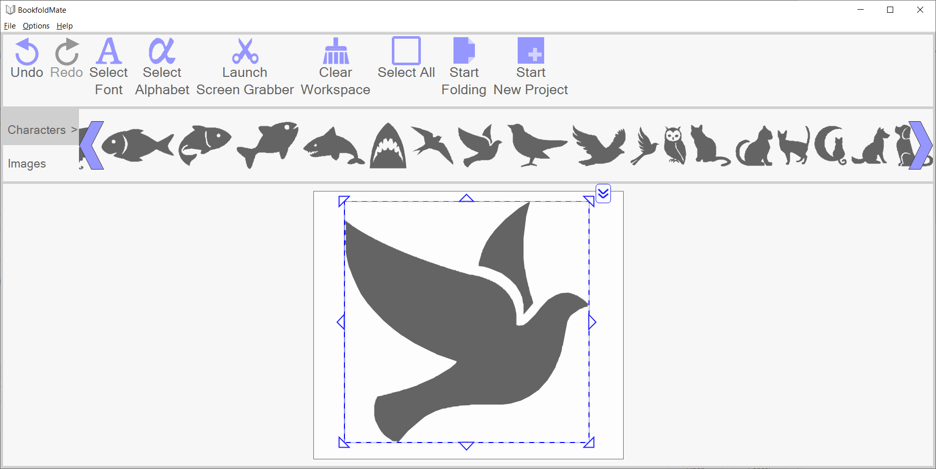 Main workspace using "dove" stock image