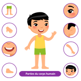 Body parts for kids - French free version