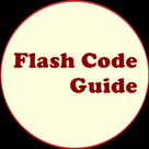 Flash Code Guide