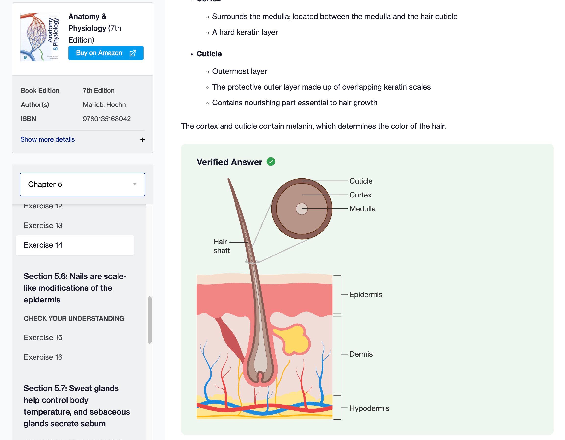 Course Hero Textbook Solutions