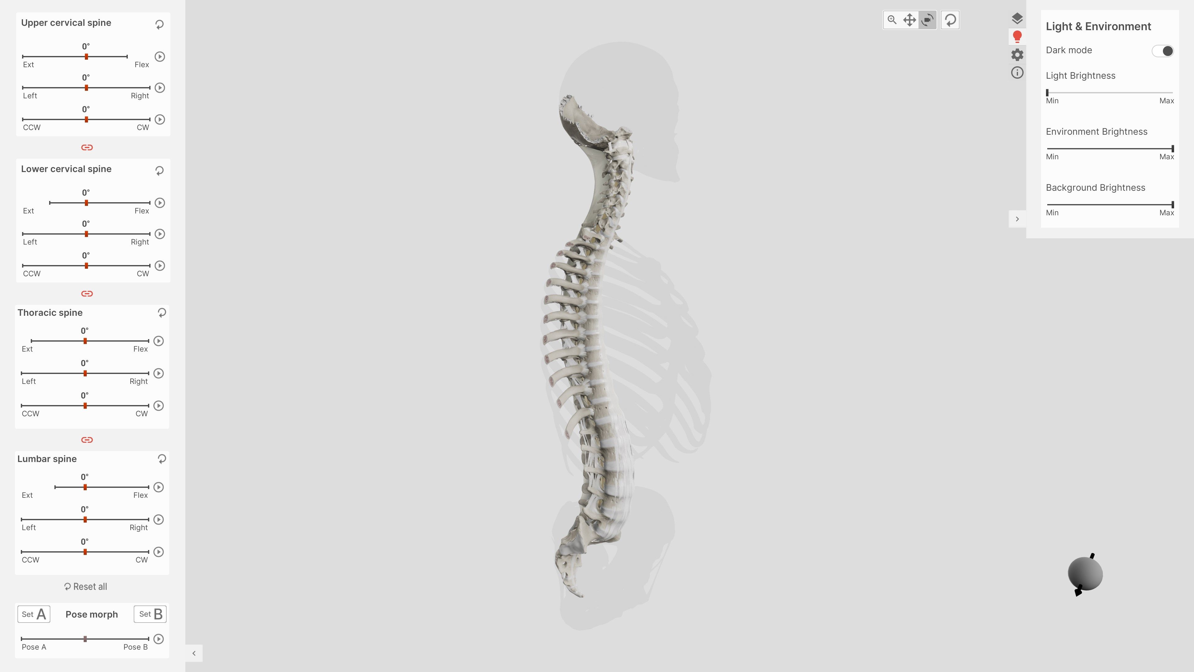 Biomechanics of the Spine